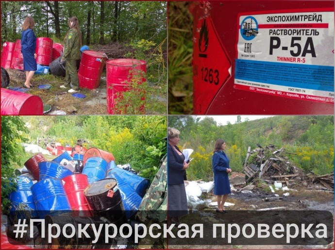 Тульская природоохранная прокуратура проверила жалобу о свалке мусора