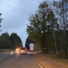 Калужанам советуют избегать походов в лес