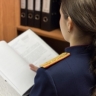 В Санкт-Петербурге завершено расследование уголовного дела в отношении генерального директора деревоперерабатывающей организации, обвиняемого в уклонении от уплаты налогов