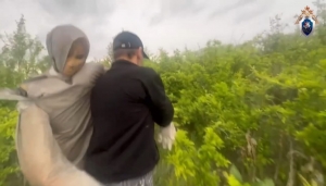 В Красноярском крае раскрыто убийство пенсионерки, совершенное 18 лет назад