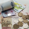 В России обсудили идею выплат неработающим многодетным родителям - «Новости Дня»