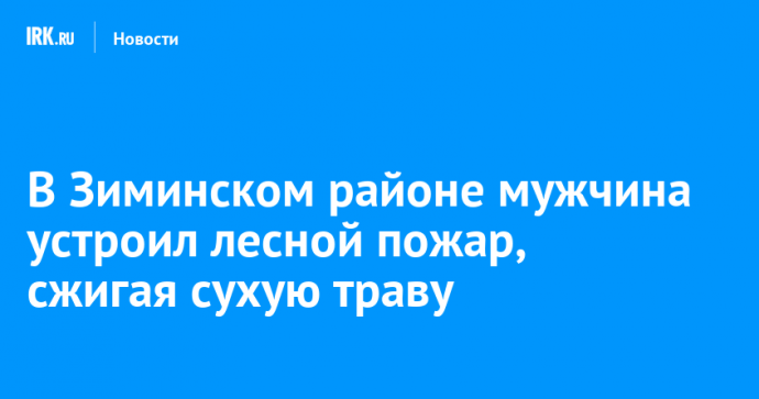 В Зиминском районе мужчина устроил лесной пожар, сжигая сухую траву
