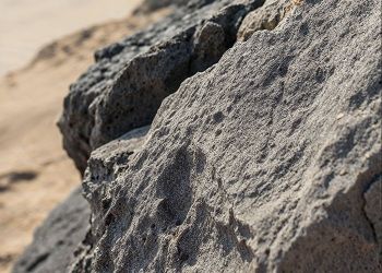 В Приамурье компания завалила скальником сельхозучасток