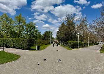 Больше 30 тысяч благовещенцев поддержали благоустройство одного из городских скверов