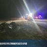 Виновному в трех смертях водителю вынесли приговор в Приморье