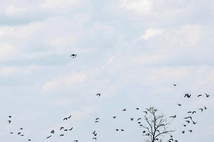 В России рассказали о беспокойстве Европы из-за неопознанных беспилотников В России рассказали о беспокойстве Европы из-за неопознанных беспилотников