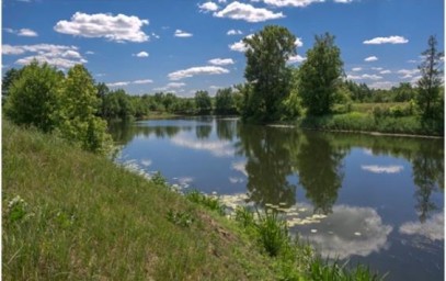 В Конышевском районе появилась новая охранная природная зона с краснокнижными видами
