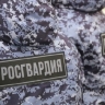 В Ленобласти росгвардейцы задержали мужчину, выстрелившего из травматического пистолета в оппонента