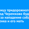 Владелицу придорожного кафе под Черемхово будут судить за нападение собаки на ребенка и его мать