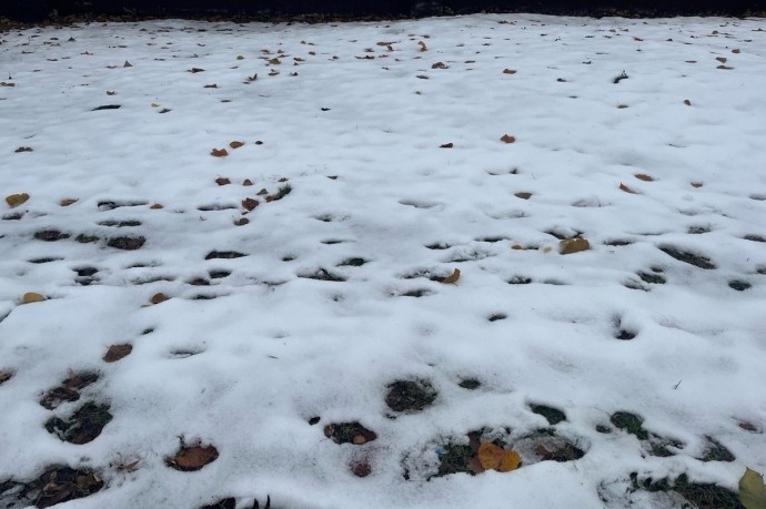 На Орловщину обрушился снегопад На Орловщину обрушился снегопад