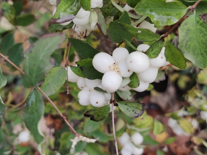 Погода в Башкирии сильно удивит Погода в Башкирии сильно удивит