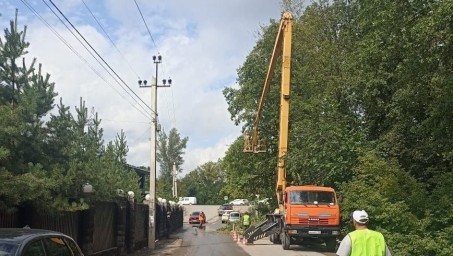 В Уфе на улице Менделеева проведут санитарную вырубку деревьев