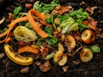 Траншейное компостирование снижает трудозатраты при переработке отходов в саду