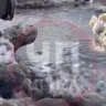 Коммунальная авария и закрытые школы: что происходит в Засечном под Пензой