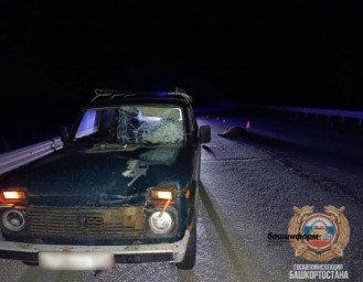 В Башкирии в ДТП погибли два пешехода