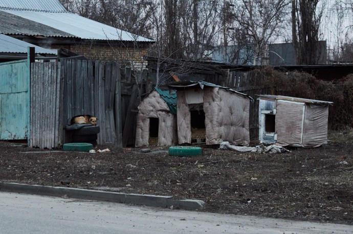 Под Пензой выявили очаги смертельной болезни