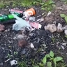 Национальный парк «Валдайский» рассказал о повадках дикарей на своей территории