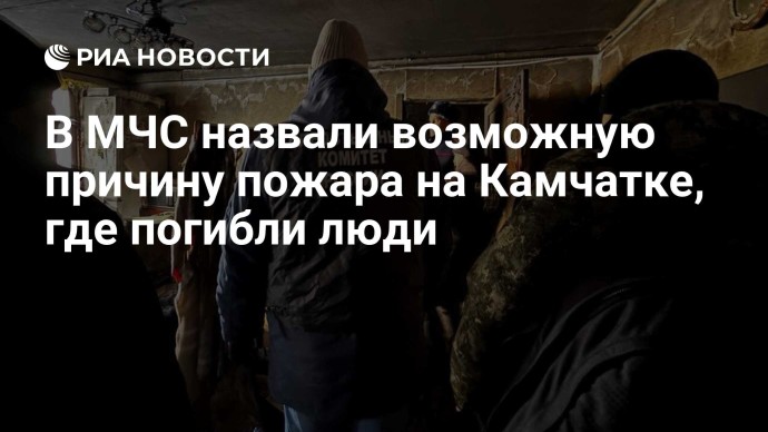 В МЧС назвали возможную причину пожара на Камчатке, где погибли люди