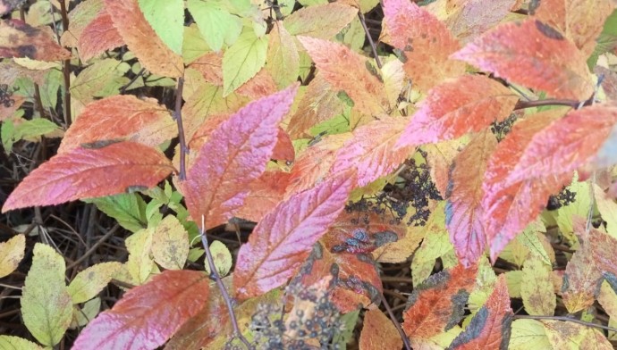 В Башкирии задержится аномальное тепло В Башкирии задержится аномальное тепло