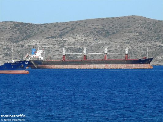 Киев требует от Израиля арестовать российское судно PANORMITIS с зерном