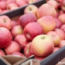 Белгородский губернатор потребовал упорядочить цены на продукты в приграничье