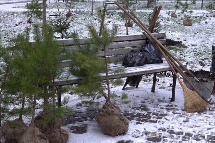 В Бердянске появился «Сад памяти»