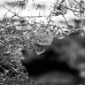 Мать и дочь в Свердловской области погибли под колесами чужого авто, пытаясь вытащить из кювета свое