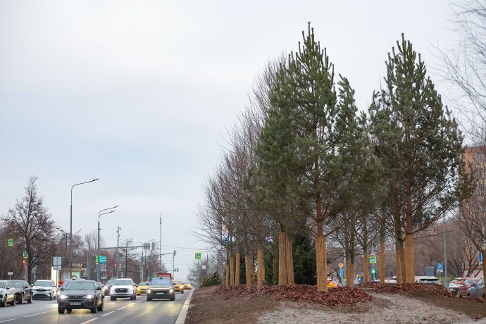Мэр Москвы объявил о завершении благоустройства Профсоюзной улицы Мэр Москвы объявил о завершении благоустройства Профсоюзной улицы