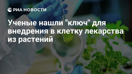 Ученые нашли "ключ" для внедрения в клетку лекарства из растений