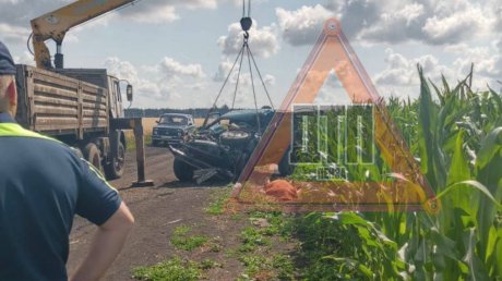 Скончался на месте. В Колышлейском районе погиб водитель столкнувшейся с грузовиком Нивы