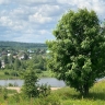 Август в Перми начнется с жары