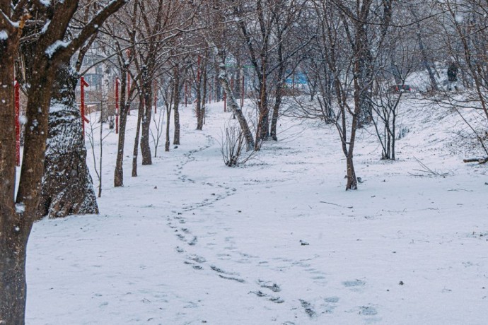 Сильные морозы ударят по Приморью в последние выходные года Сильные морозы ударят по Приморью в последние выходные года