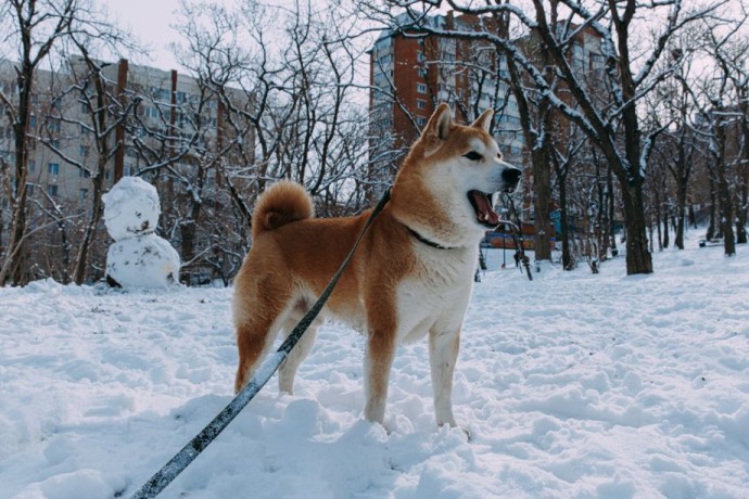 Приморье попадёт под удар китайского циклона в выходные: подробный прогноз
