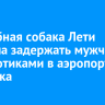 Служебная собака Лети помогла задержать мужчину с наркотиками в аэропорту Иркутска