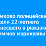 В Черемхово полицейские задержали 22-летнего парня, несшего в рюкзаке 600 граммов марихуаны