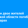 За сутки двое жителей Иркутской области погибли на пожарах