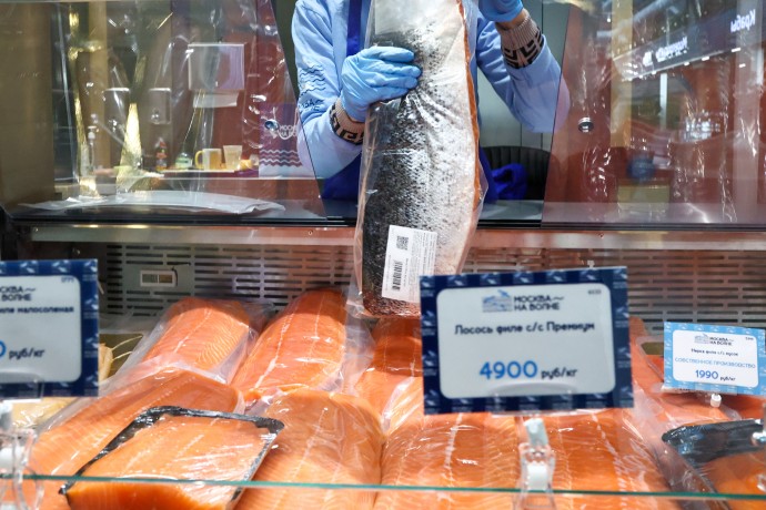 В СФ заявили, что добыча дальневосточных лососей выросла на 100 тыс. тонн В СФ заявили, что добыча дальневосточных лососей выросла на 100 тыс. тонн