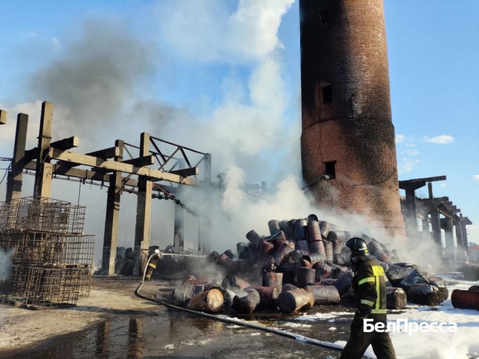 За сутки в Белгородской области от атак ВСУ пострадали 13 человек