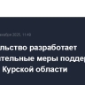 Правительство разработает дополнительные меры поддержки жителей Курской области
