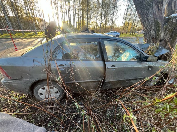 За сутки в ДТП в Новгородской области погиб один человек и три пострадали