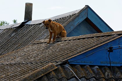 На Украине предрекли затопление Сум в течение трех дней