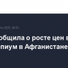 ООН сообщила о росте цен в десять раз на опиум в Афганистане с 2022 года