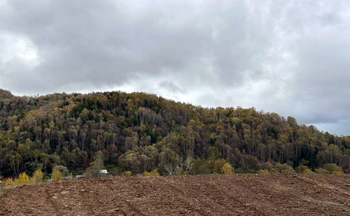 Новый бугель, фотозоны, освещение - горнолыжка "Белая сова" в Шахтерске готовится к сезону