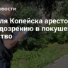 Жителя Копейска арестовали по подозрению в покушении на убийство
