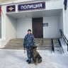 В Иркутской области служебная собака раскрыла кражу