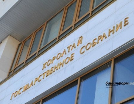 В Госдуме поддержали предложение Башкирии о льготах родственникам-дарителям
