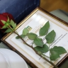 Денис Соболев поздравил пензенских строителей с профессиональным праздником