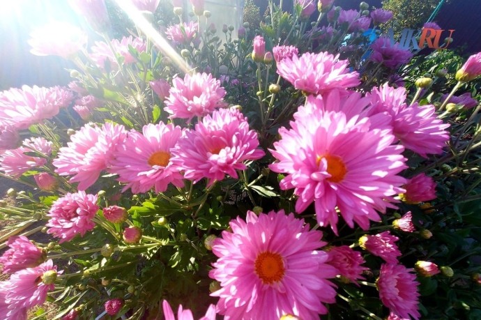 В Калуге ожидаются осадки