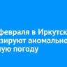 22-26 февраля в Иркутске прогнозируют аномально холодную погоду