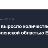 До пяти выросло количество сбитых над Смоленской областью БПЛА